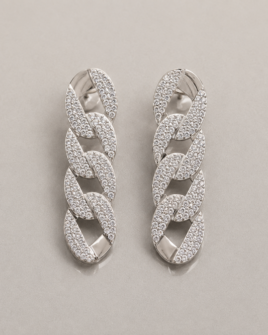 Pair of silver chain-style earrings on a light gray background